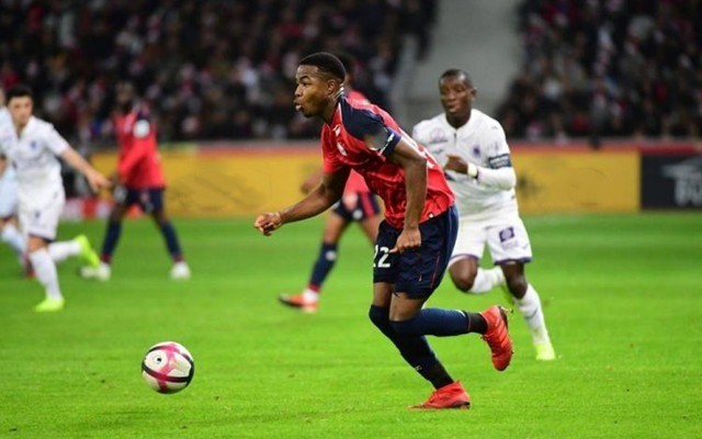 反打效率更 反打效率更