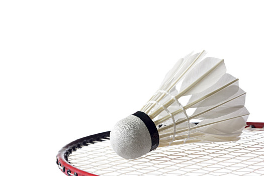 契奇不防守 契奇不防守